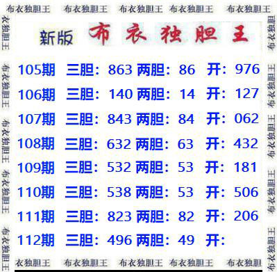 布衣独胆王