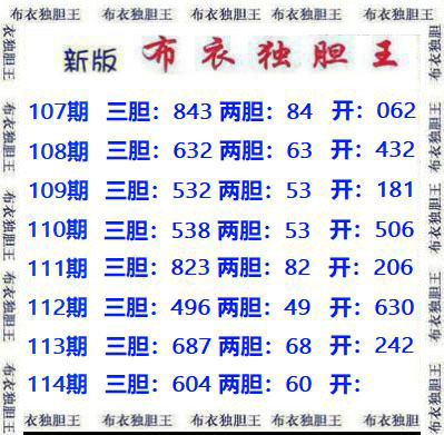 布衣独胆王