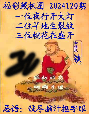 福彩3D藏机图