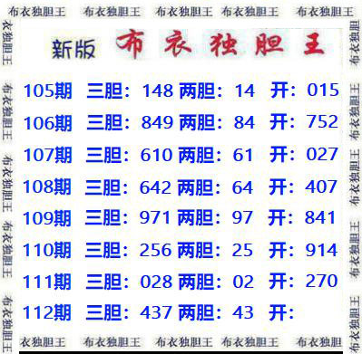 布衣独胆王
