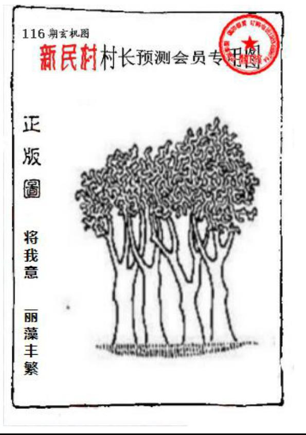 新民村村长预测图