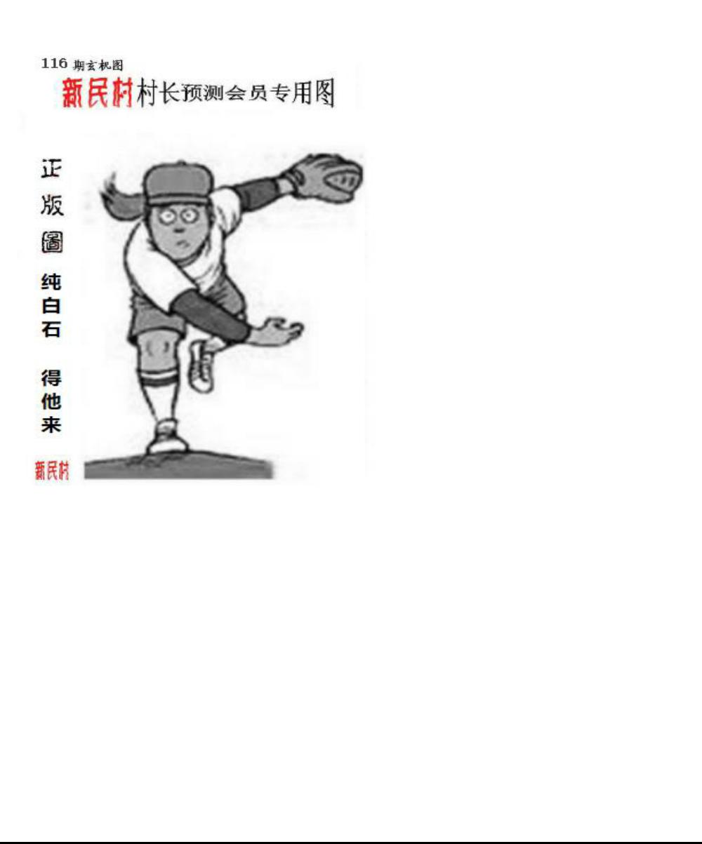 正版新民村村长预测图