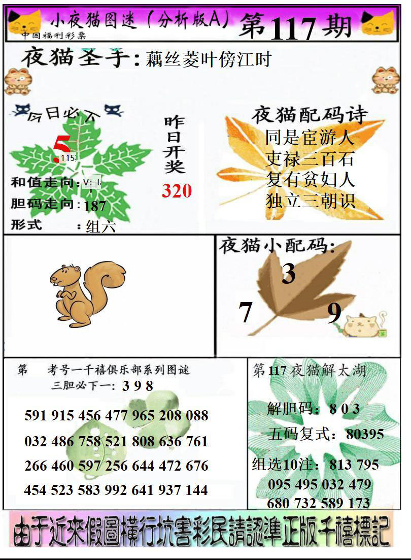 真小猫A
