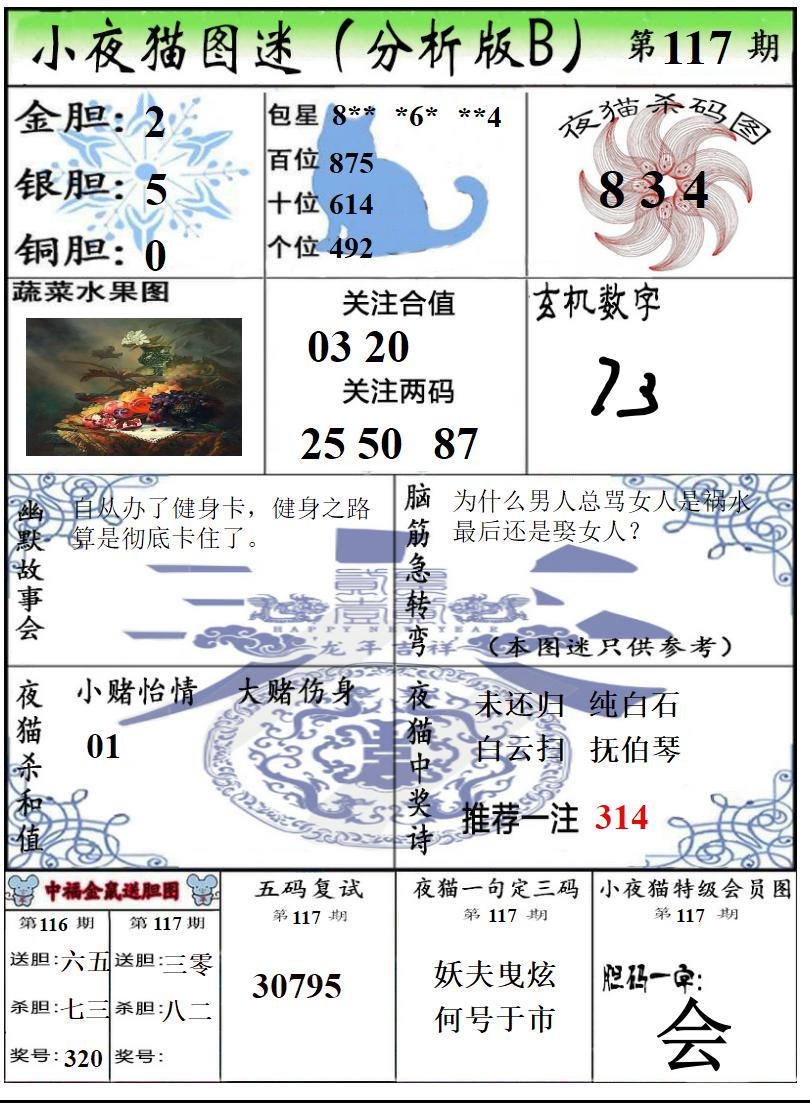 真小猫B