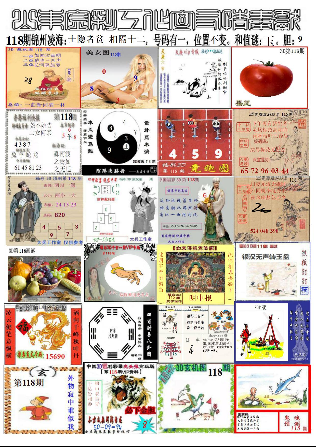 山东金彩