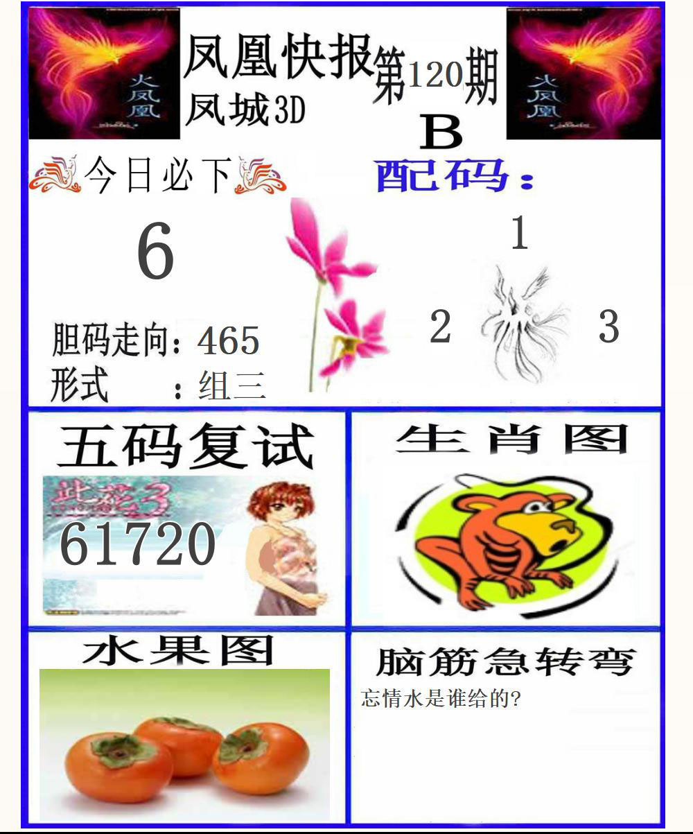 3D凤凰快报B版